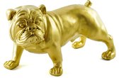 Beeld Engelse bulldog staand goud