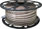LED Strip - Igory Strabo - 50 Meter - Dimbaar - IP65 Waterdicht - Blauw - 5050 SMD 230V