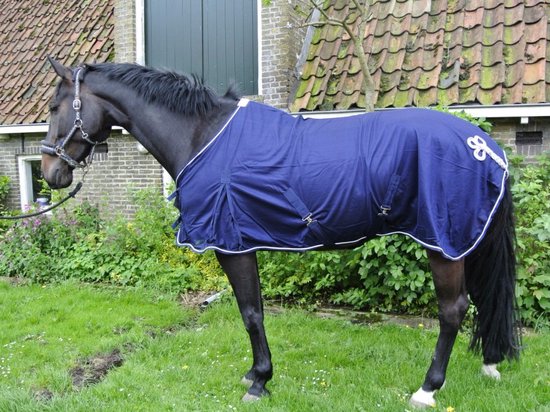 Donkerblauwe vliegendeken met witte bies en ornament op de achterzijde, gedragen door een zwart paard.