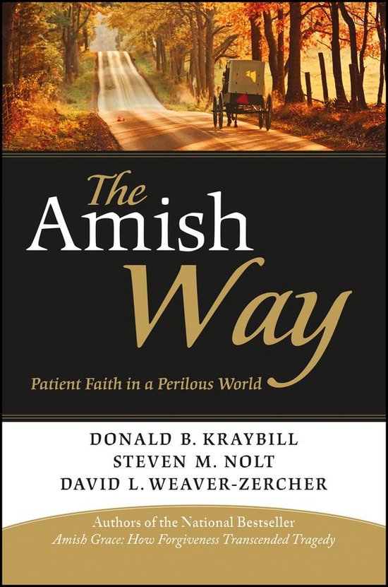 Couverture de livre avec une route et une calèche en automne. Titre : The Amish Way.