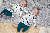 Bampidano newborn baby meisjes legging Anne Clouds Petrol