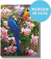 Your Painting World Papegaaien - Incl. 4 Ergonomische Penselen - Schilderen Op Nummer - Schilderen Op Nummer Volwassenen & Kinderen - Schilderen Op Nummer Dieren - Kleuren Op Numme