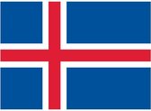 Vlag IJsland 90 x 150 cm feestartikelen - IJsland landen thema supporter/fan decoratie artikelen