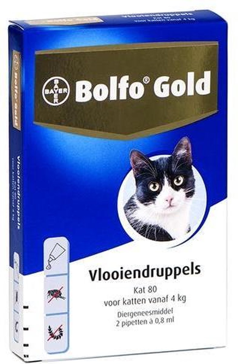 raken een miljoen Vervolgen Bolfo Gold 40 Anti vlooienmiddel - Kat - 0 Tot 4 kg - 4 pipetten | bol.com