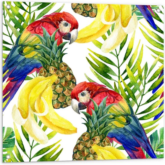 Tuinposter – Geschilderde Papagaaien met Fruit - 80x80cm Foto op Tuinposter  (wanddecoratie voor buiten en binnen)