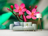 Professioneel Fotobehang Roze bloem met dauwdruppels - roze - Sticky Decoration - fotobehang - decoratie - woonaccessoires - inclusief gratis hobbymesje - 445 cm breed x 300 cm hoog - in 7 ve