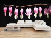 Professioneel Fotobehang Hangende roze bloemen aan tak - zwart paars - Sticky Decoration - fotobehang - decoratie - woonaccessoires - inclusief gratis hobbymesje - 445 cm breed x 300 cm hoog 