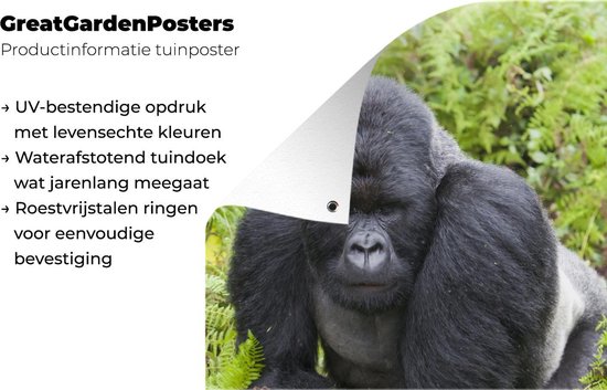 Un Gorilla promène dans les feuilles vertes Affiche de jardin 80x120 cm - Toile de jardin / Toile d'extérieur / Peintures pour l'extérieur (décoration de jardin)