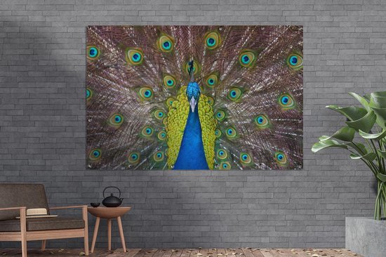Le paon mâle exhibe ses plumes rouges Affiche de jardin 180x120 cm - Toile de jardin / Toile d'extérieur / Peintures d'extérieur (décoration de jardin) XXL / Groot format!