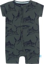 Charlie Choe - Boxpakje Shark-74