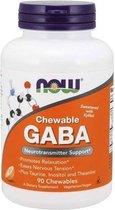GABA 250mg Chewable Tablets 90chewables