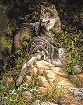 Paint by Number - Schilderen op Nummer - Wolfs in the night - paintbynumber.eu