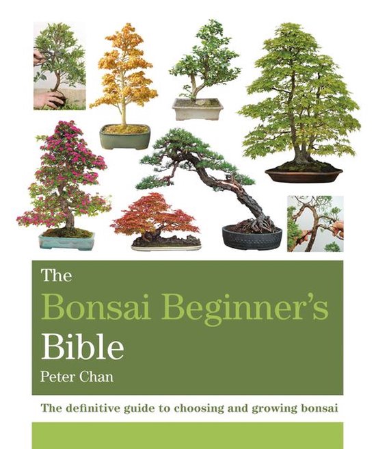 The Bonsai Bible - cover