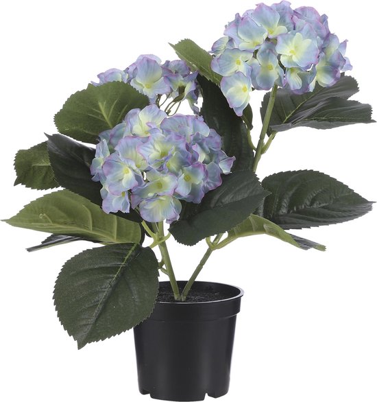 Plante artificielle hortensia / hortensia bleu crème 32 cm en pot - Plantes...  | bol.com