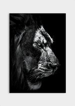 Poster Dark Lion ² - Plexiglas - Meerdere Afmetingen & Prijzen | Wanddecoratie - Interieur - Art - Wonen - Schilderij - Kunst