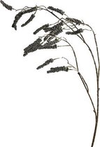 Mini Seed Spray Black 114 cm kunsttak Nova Nature