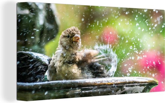 Canvas - Spetterende mus in een vogelbadje