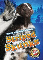 North American Animals -  Striped Skunks
