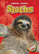 Animal Safari - Sloths