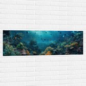 Muursticker - Oceaan - Zee - Dieren - Vissen - Koraal - Kleuren - 120x40 cm Foto op Muursticker