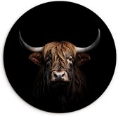 WallCircle - Wandcirkel 30x30 cm - Schotse hooglander - Ronde schilderijen woonkamer zwart - Wandbord rond dier - Zwarte dieren muurdecoratie cirkel - Kamer decoratie binnen - Wanddecoratie muurcirkel - Woonaccessoires dierenkop