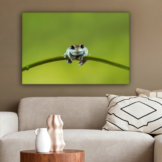 Tableau Grenouille - Branche - Vert - 60x40 cm - Décoration murale