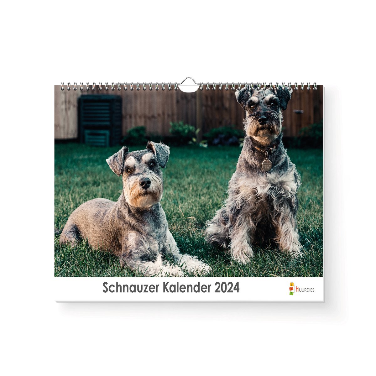 XL 2024 Kalender - Jaarkalender - Schnauzer