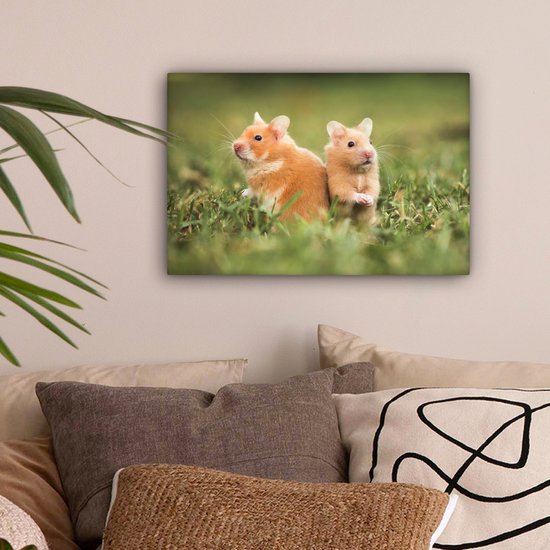 Tableau sur toile Hamsters dorés - 30x20 cm - Décoration murale