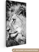 Canvas Schilderij Leeuw - Dieren - Wild - 40x80 cm - Wanddecoratie