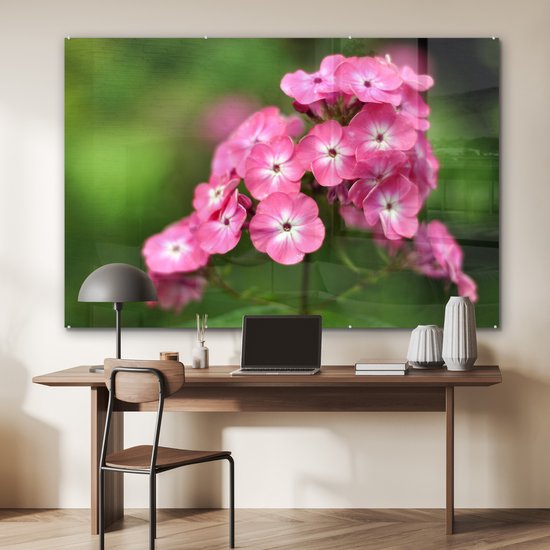 Fleurs flammes roses sur fond vert Plexiglas 180x120 cm - Tirage photo sur Glas (décoration murale plexiglas) XXL / Groot format!