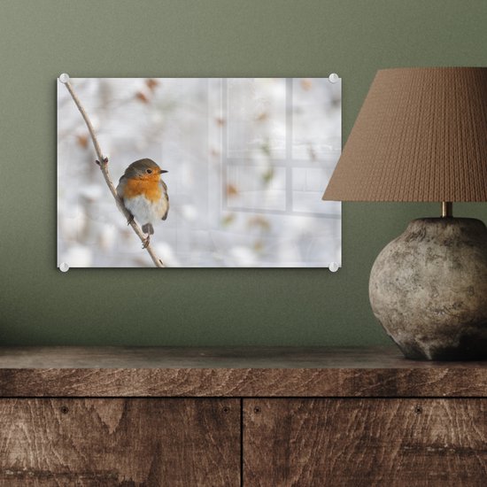 Robin sur une fine branche en plexiglas d'hiver 30x20 cm - petit - Tirage photo sur Glas (décoration murale en plexiglas)