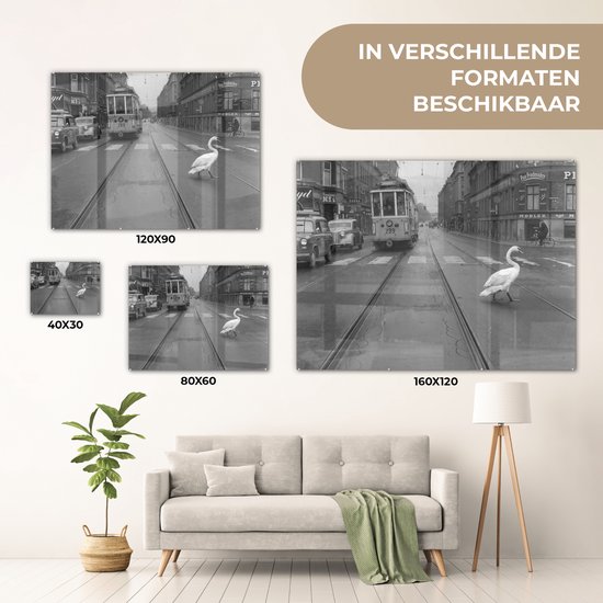 MuchoWow® Peinture sur verre 120x90 cm - Peinture sur verre acrylique - Traversée de cygne - Photo sur verre - Peintures