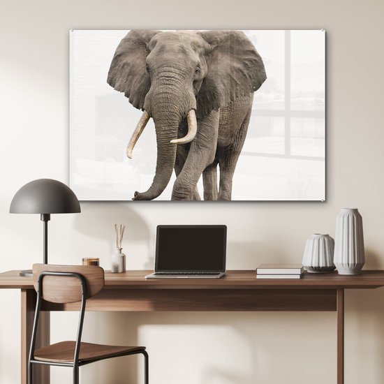 MuchoWow® Peinture sur Verre - Éléphant - Enfants - Garçons - Animaux - Filles - 90x60 cm - Peintures sur Verre Acrylique - Photo sur Glas