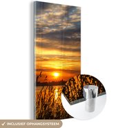 Glasschilderij - Wanddecoratie - Landschap - Zee - Zonsondergang - Planten - Acrylplaat - 60x120 cm - Foto op glas - Schilderij glas - Acrylglas - Woondecoratie