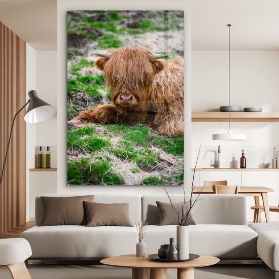 MuchoWow® Peinture sur verre - Highlander écossais - Foin - Herbe - 100x150 cm - Peintures sur verre acrylique - Photo sur Glas