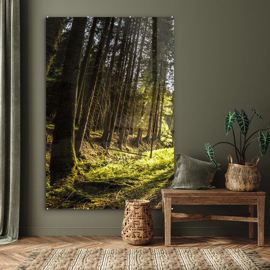 MuchoWow® Peinture sur verre - Arbre - Nature - Soleil - Forêt - 100x150 cm - Peintures sur verre acrylique - Photo sur Glas