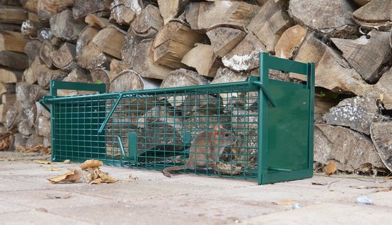 Cage pour animaux de 61x21x23cm - piège à rats - double entrée - vert -  acier