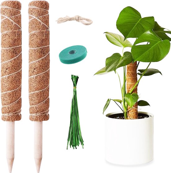 YUGN Mosstok voor Planten - Verlengbaar tot 50 cm - 2 Stuks Plantenstok Inclusief 80...