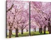 Artaza Canvas Schilderij Tweeluik Roze Bloesembomen Park - Bloemen - 160x120 - Groot - Foto Op Canvas - Canvas Print