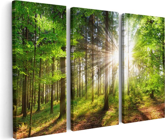 Artaza Canvas Schilderij Drieluik Bos met Zon tussen de Bomen - 180x120 cm - Groot - Wanddecoratie Woonkamer - Schilderijen - Muurdecoratie