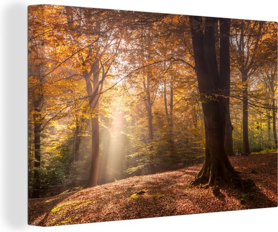 Matin brumeux en forêt d'automne sur toile 2cm 30x20 cm - petit - Tirage photo sur toile (Décoration murale salon / chambre)