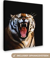 Tigre rugissant fond noir Toile 50x50 cm - Tirage photo sur toile (Décoration murale salon / chambre) / Peintures sur toile Animaux