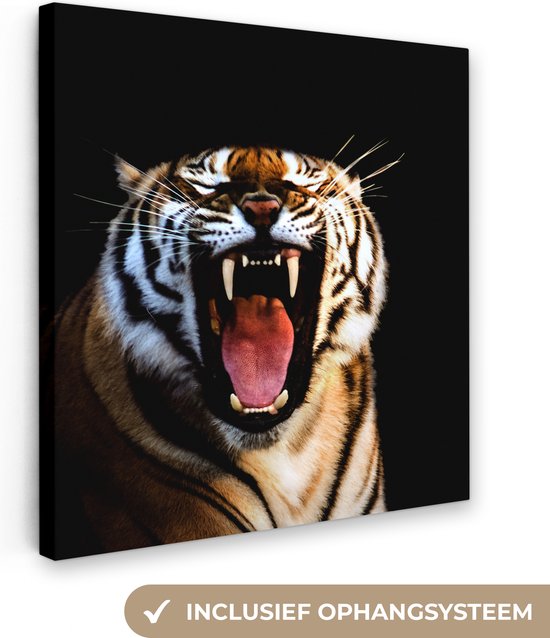 Brullende tijger zwarte achtergrond Canvas 100x100 cm - Foto print op Canvas schilderij (Wanddecoratie)