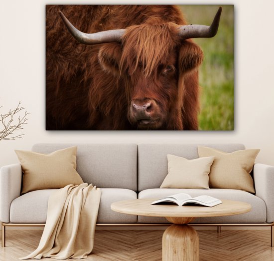 Tableau sur toile Scottish Highlander - Oranje - Animaux - 140x90 cm - Décoration murale