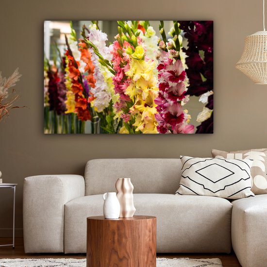 Impression sur Toile Glaïeul - Fleurs - Couleurs - 140x90 cm - Décoration murale
