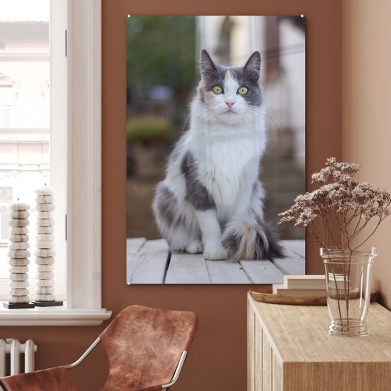 MuchoWow® Peinture sur verre - Chat - Portrait - Tableau - Filles - Enfants - Garçons - Kids - 80x120 cm - Peintures sur verre acrylique - Photo sur Glas