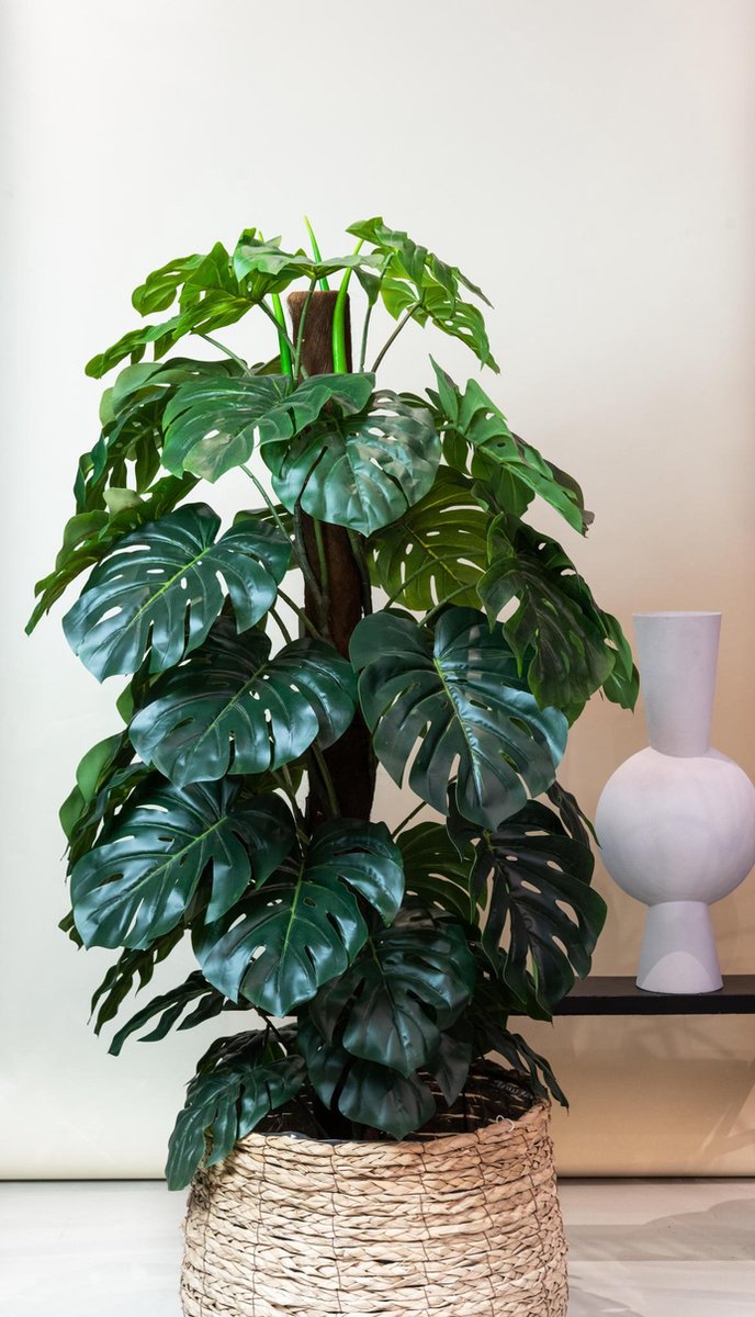 Monstera Deliciosa kunstplant 150 cm