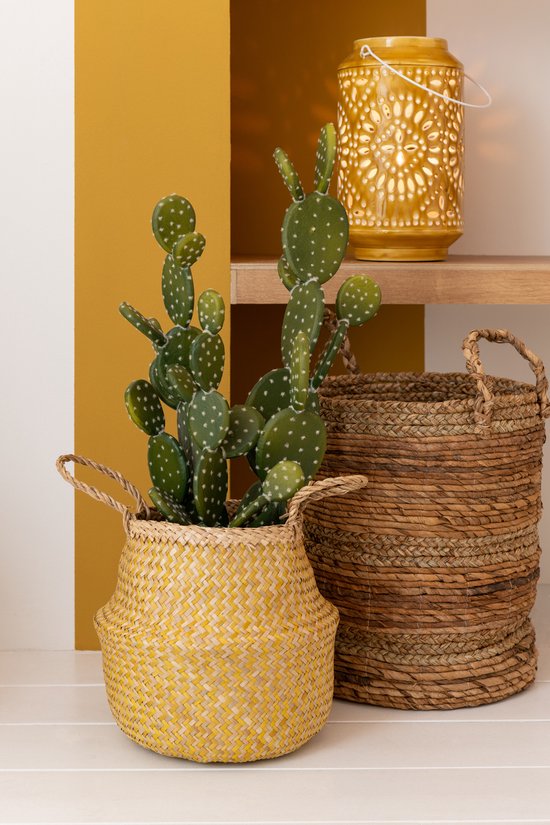 Een gele gevlochten mand met een cactusziel en ernaast een grotere jute mand.