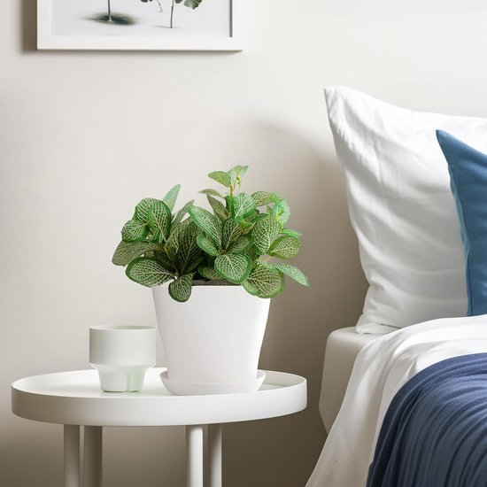 Lot de 8 pots de fleurs en plastique blanc, ronds, grands, 17 cm, pots de fleurs en plastique avec palette/plateau, pour balcon, bureau, décoration de la maison