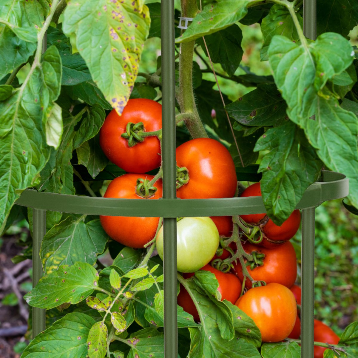 2x rozenboog metaal, 240 cm, plantensteun voor rozen en klimplanten, vrijstaand, weerbestendig, 240 cm, groen